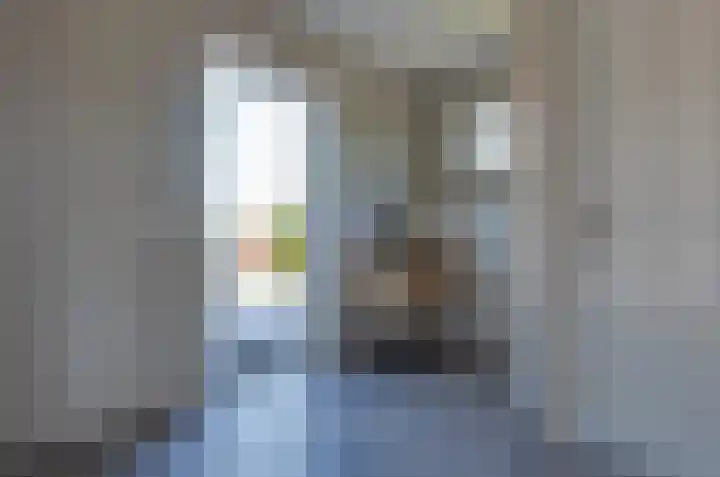 De Singel 29 Harkema thumbnail 30