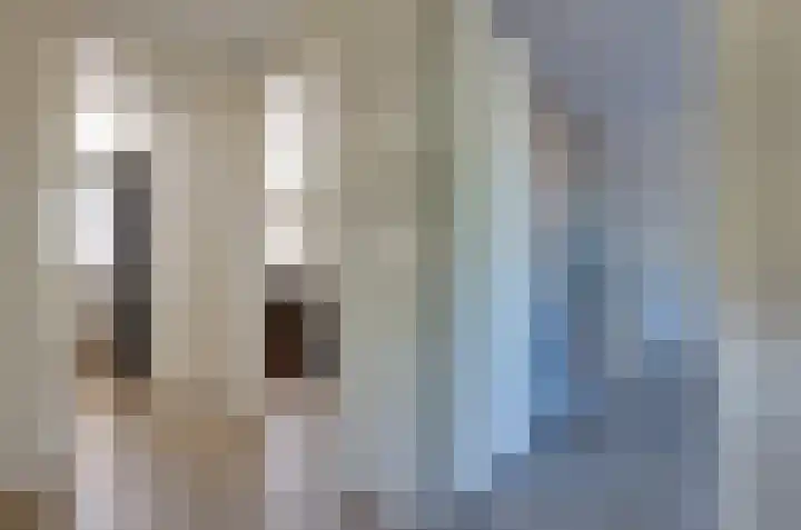 De Singel 29 Harkema thumbnail 36