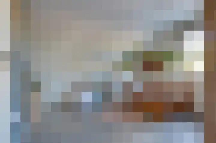 De Singel 29 Harkema thumbnail 37