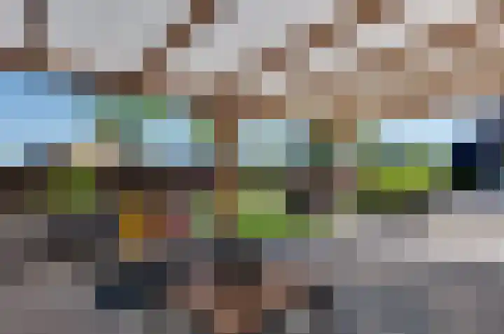 De Singel 29 Harkema thumbnail 58