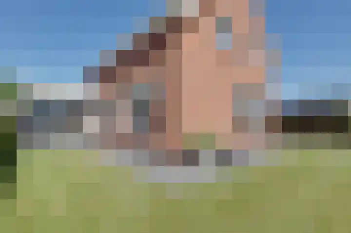 De Singel 29 Harkema thumbnail 63