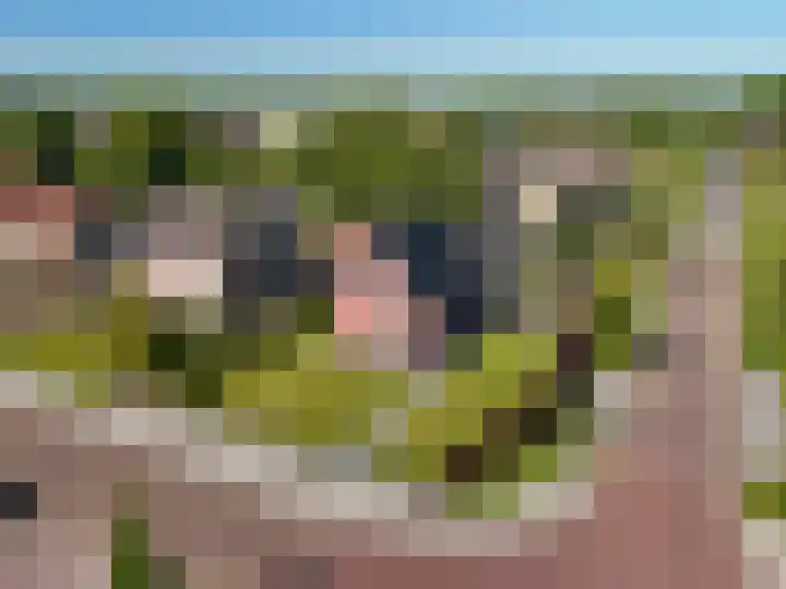 De Singel 29 Harkema thumbnail 65