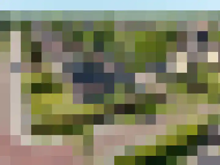 De Singel 29 Harkema thumbnail 66