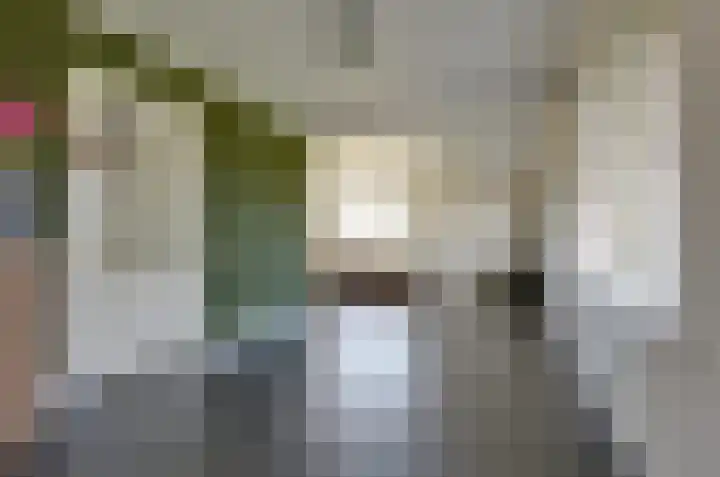 De Singel 29 Harkema thumbnail 7