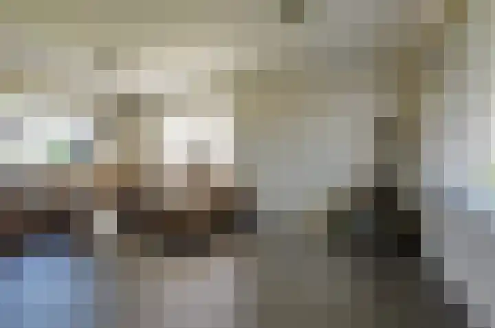 De Singel 29 Harkema thumbnail 8