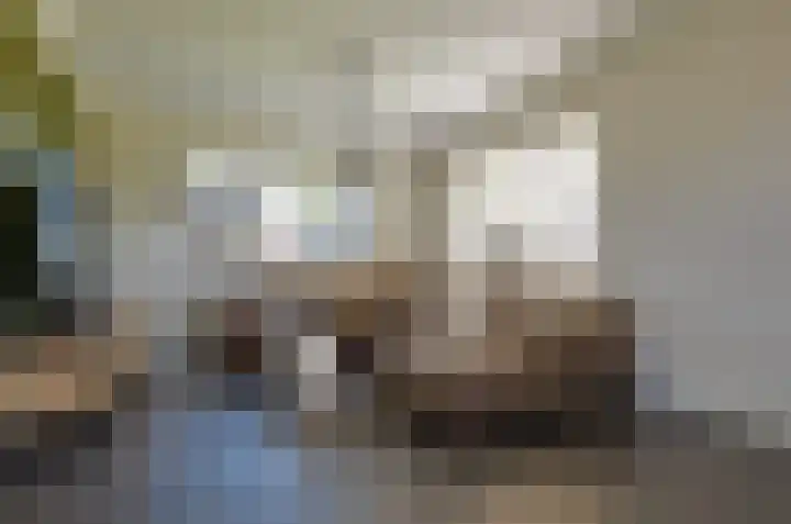 De Singel 29 Harkema thumbnail 9