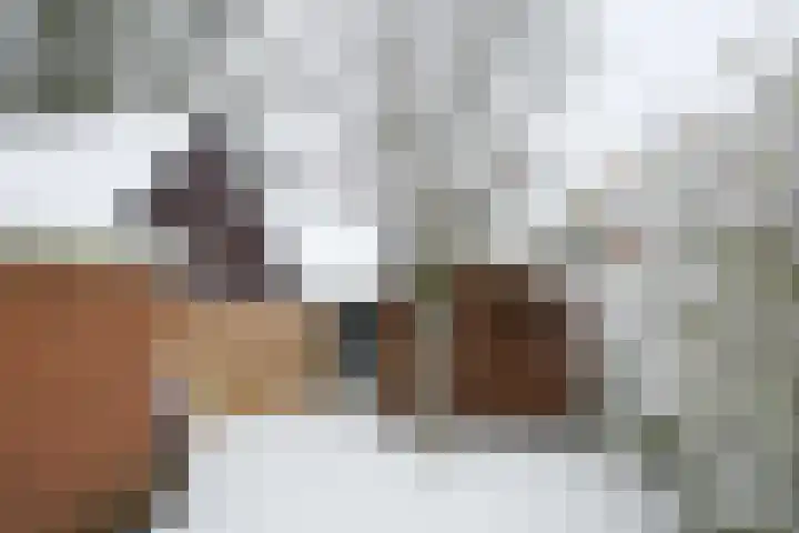 De Singel 32 Drachten thumbnail 34