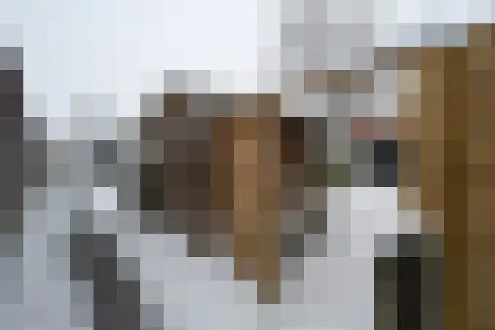 De Singel 32 Drachten thumbnail 38