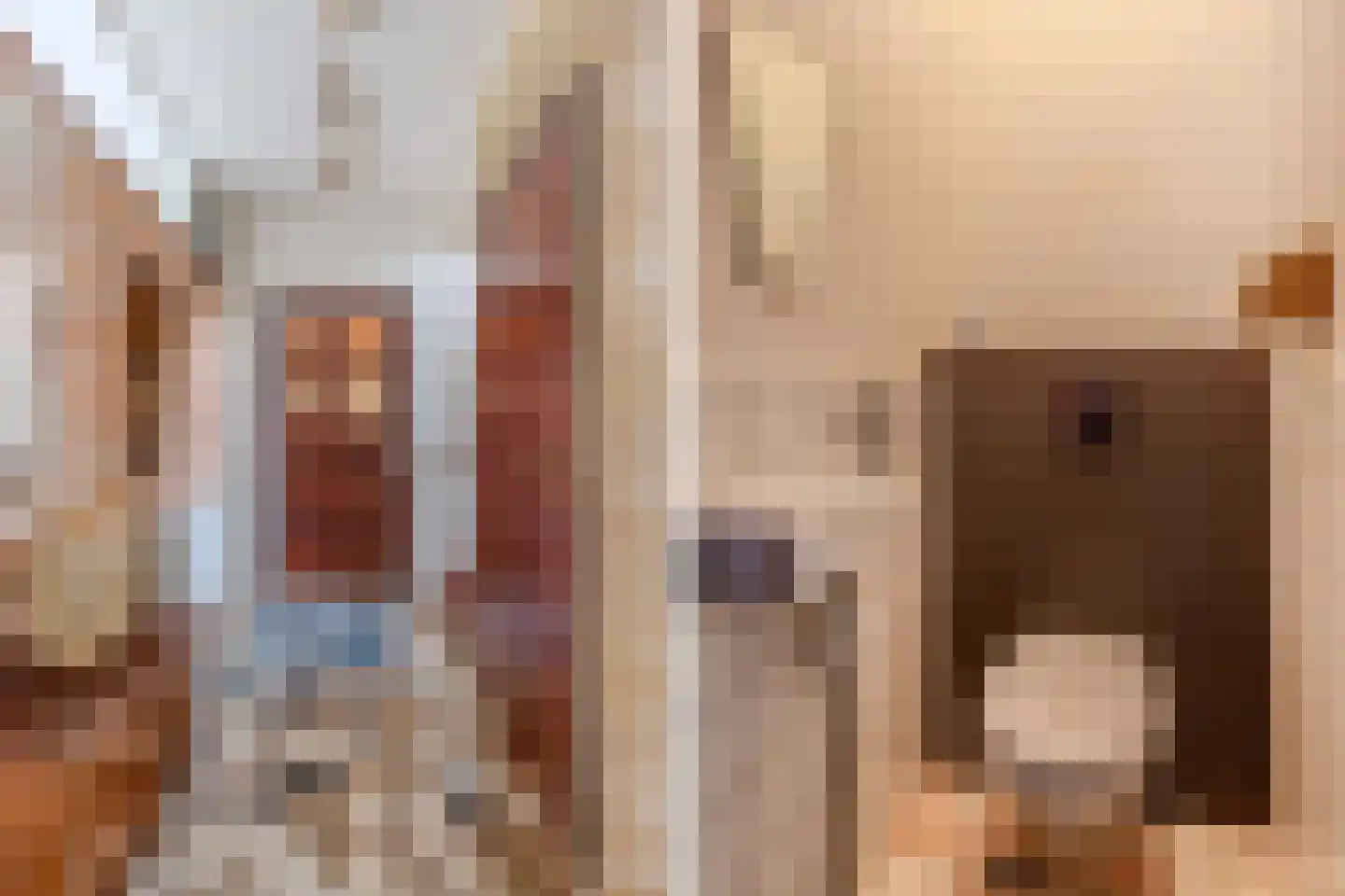 de Singel 4 Ens thumbnail 19