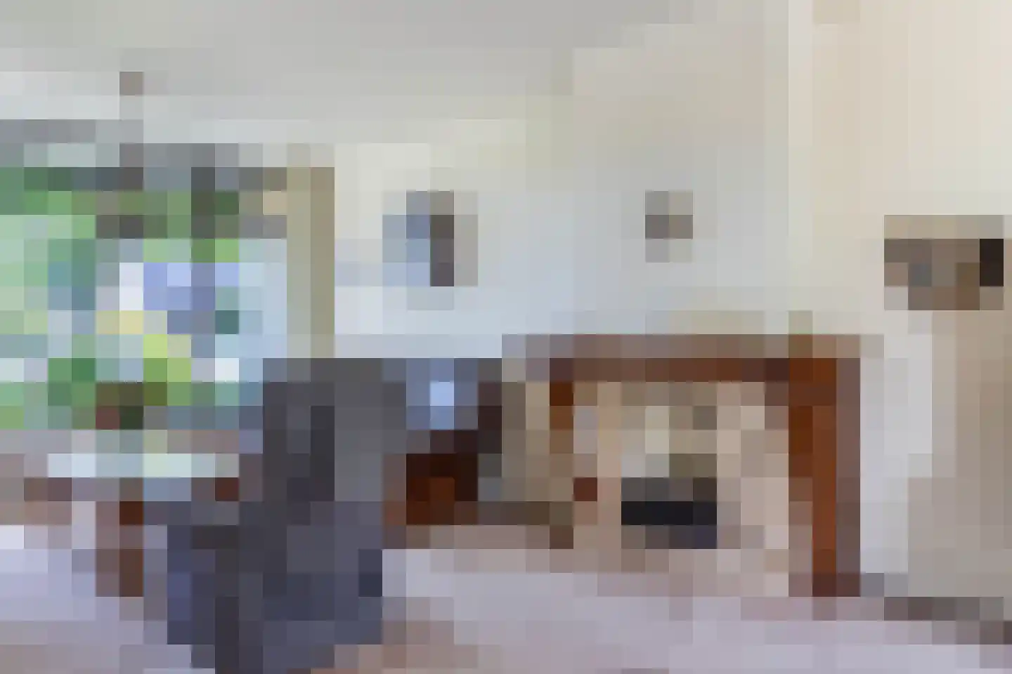 de Singel 4 Ens thumbnail 24