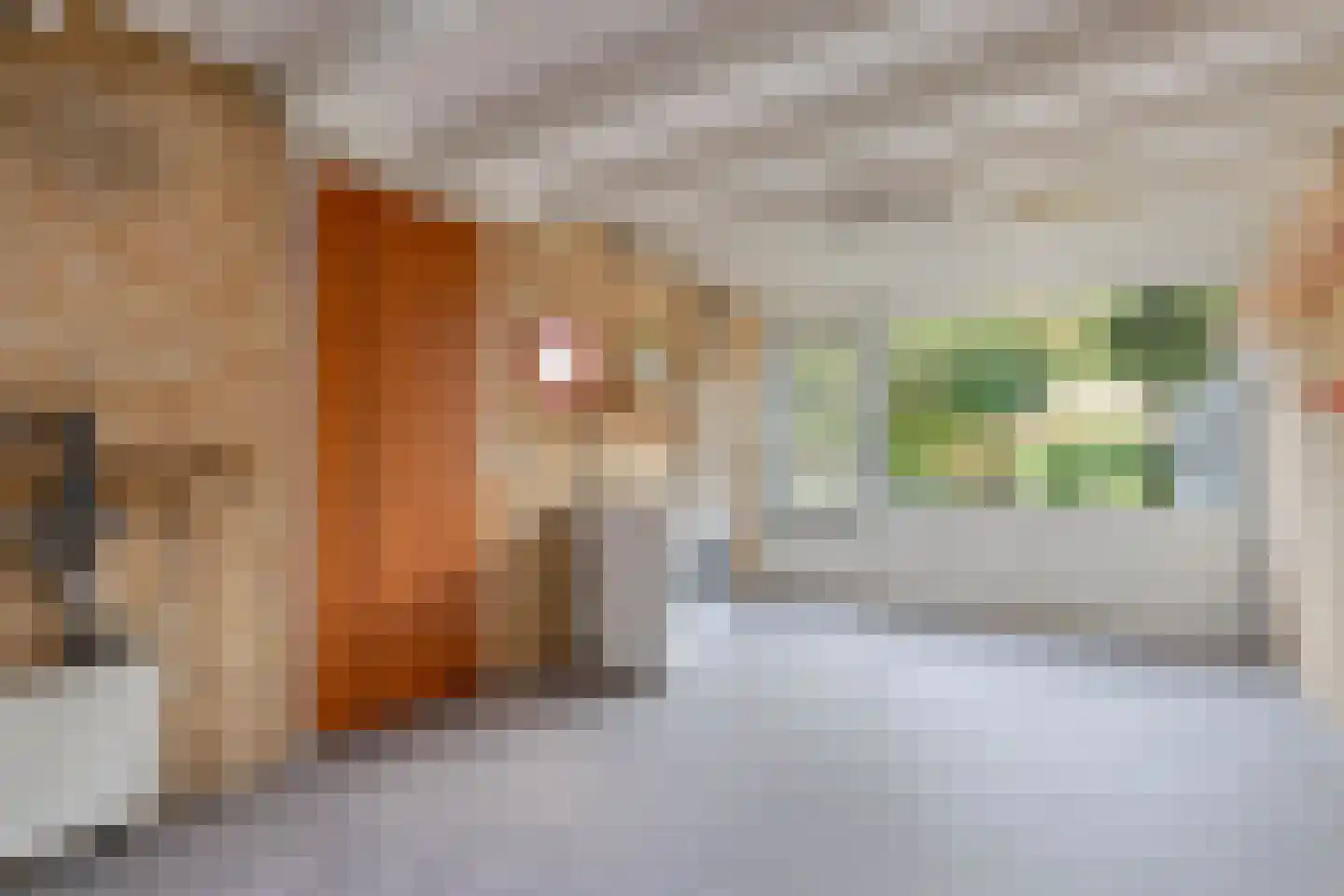 de Singel 4 Ens thumbnail 33