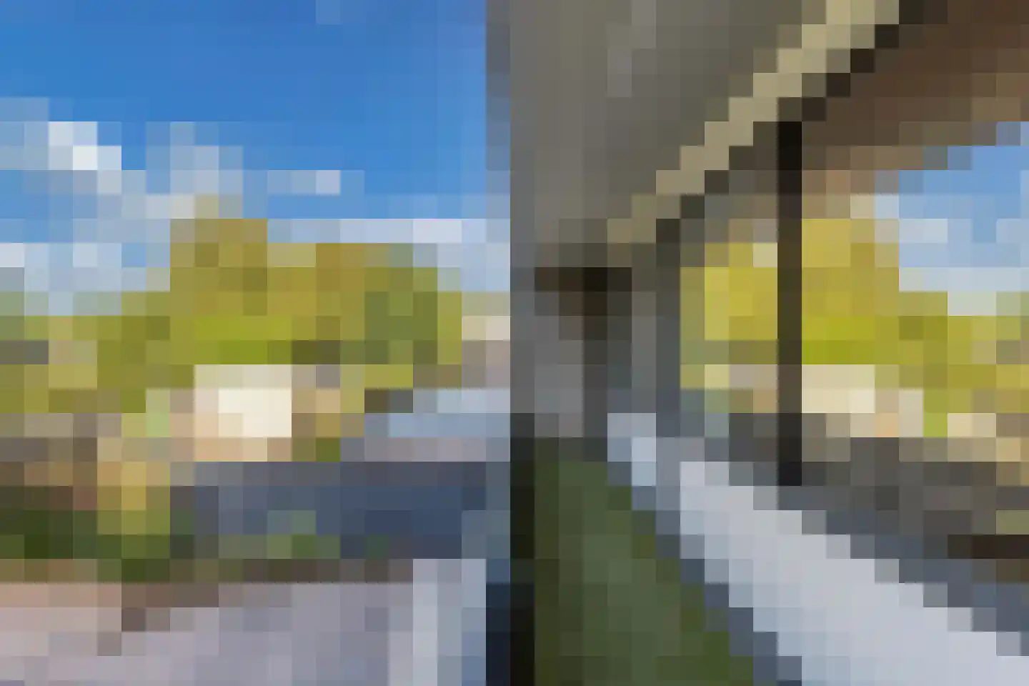 de Singel 4 Ens thumbnail 43