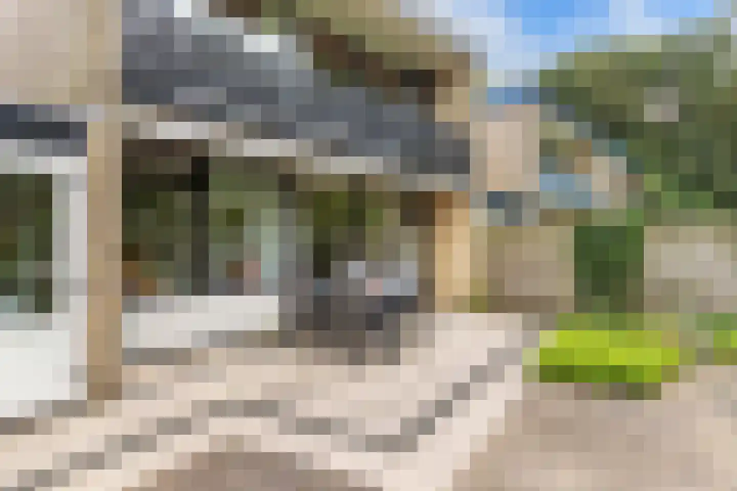 de Singel 4 Ens thumbnail 49