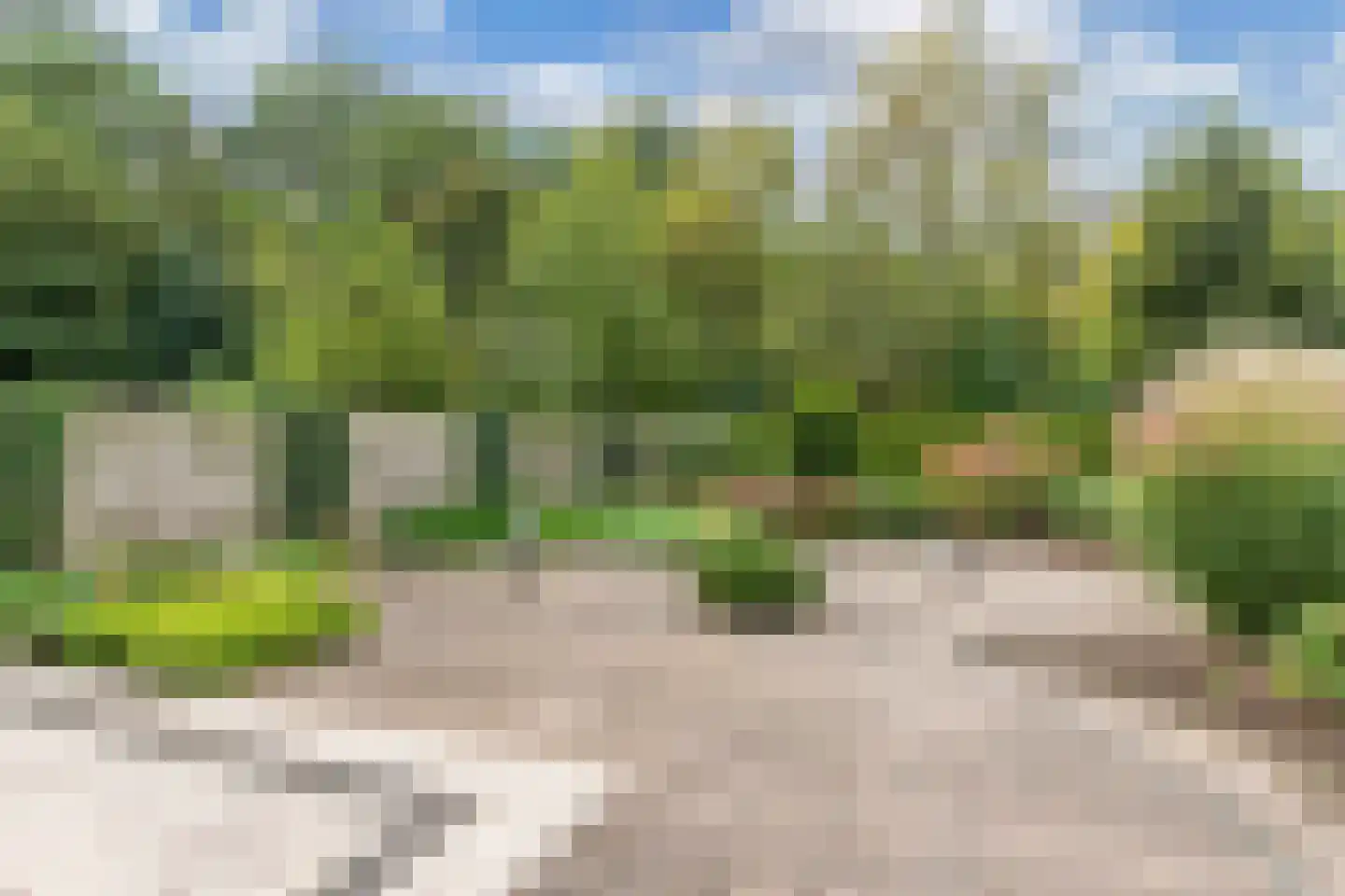 de Singel 4 Ens thumbnail 50