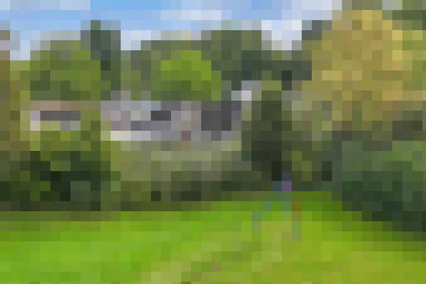 de Singel 4 Ens thumbnail 55
