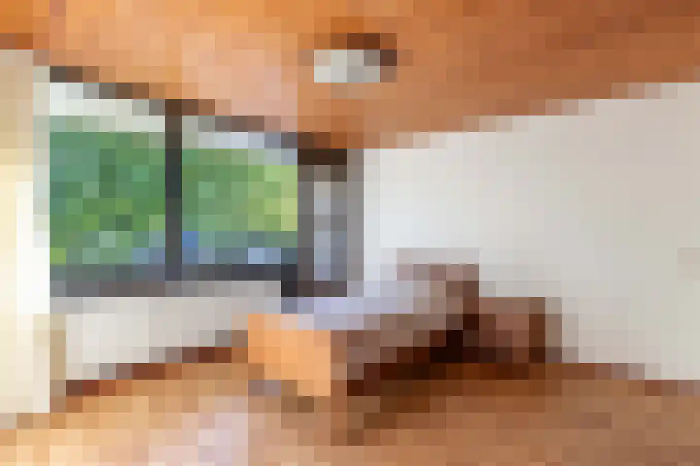 de Singel 4 Ens thumbnail 7