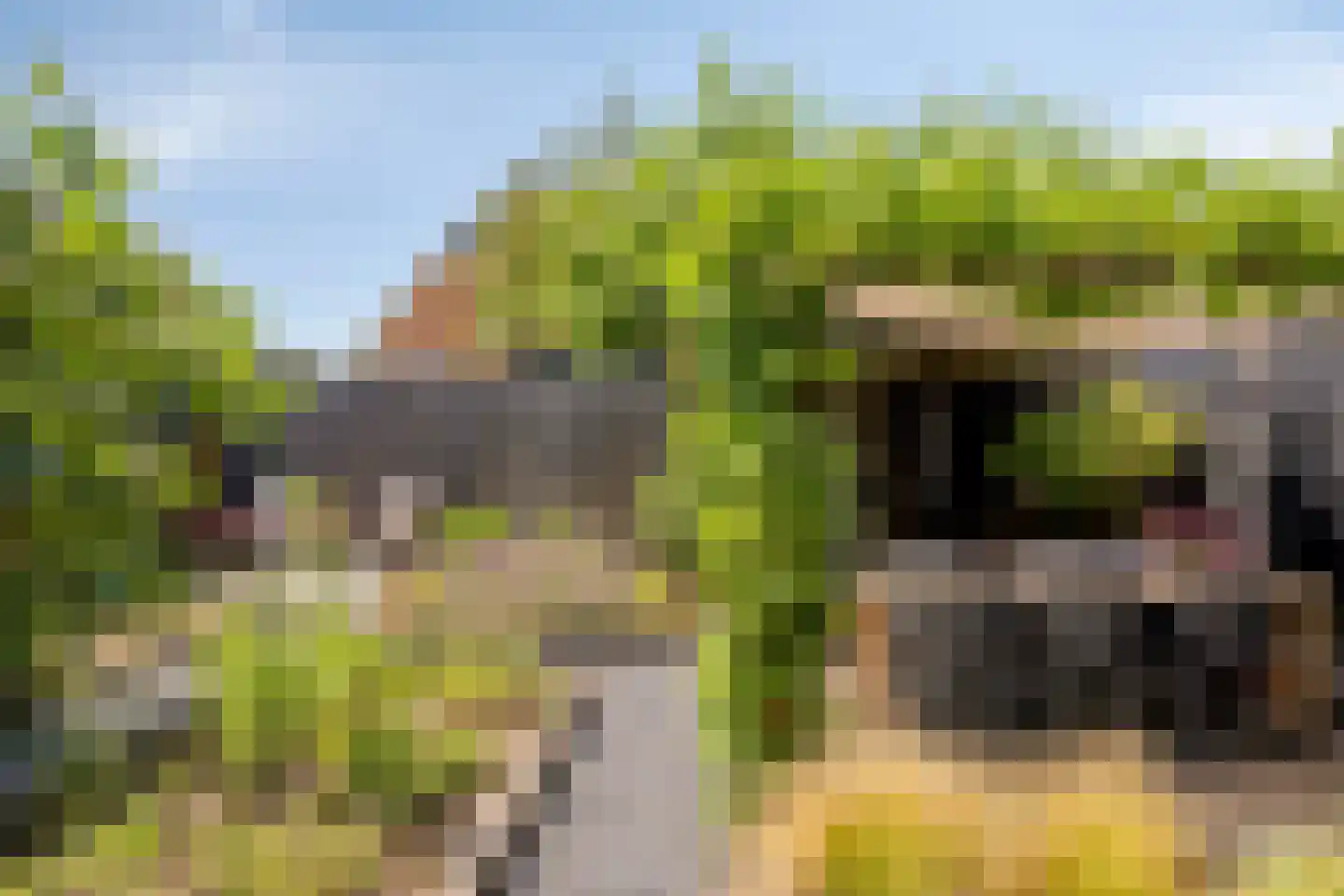 de Singel 4 Varsseveld thumbnail 31