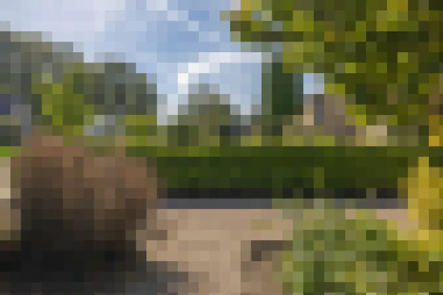 De Singel 5 B Harkema thumbnail 10