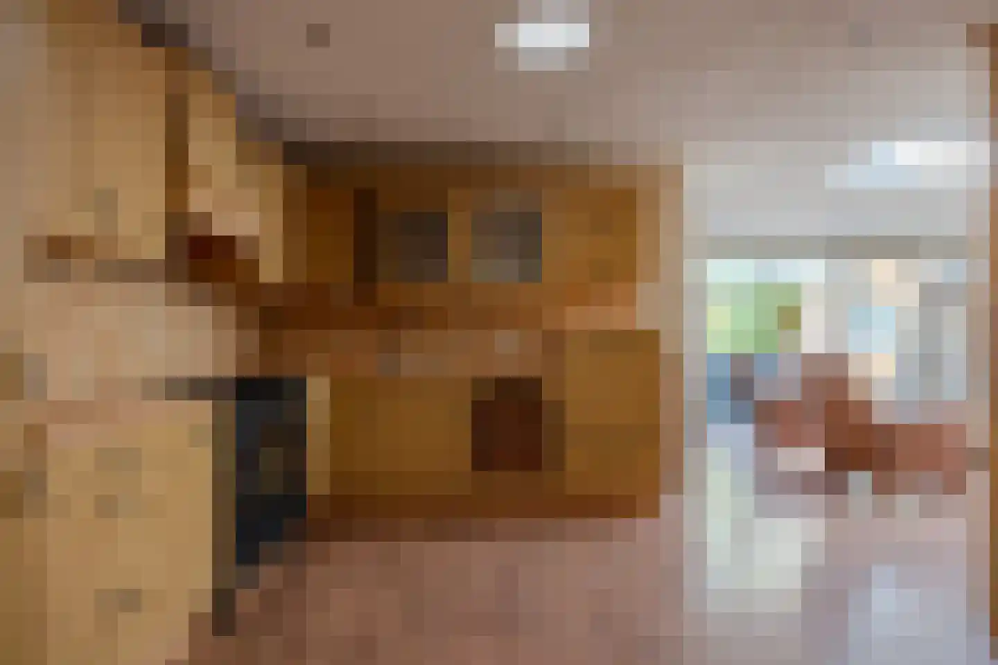De Singel 5 B Harkema thumbnail 21