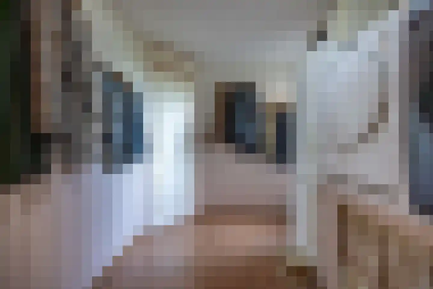 De Singel 5 B Harkema thumbnail 26