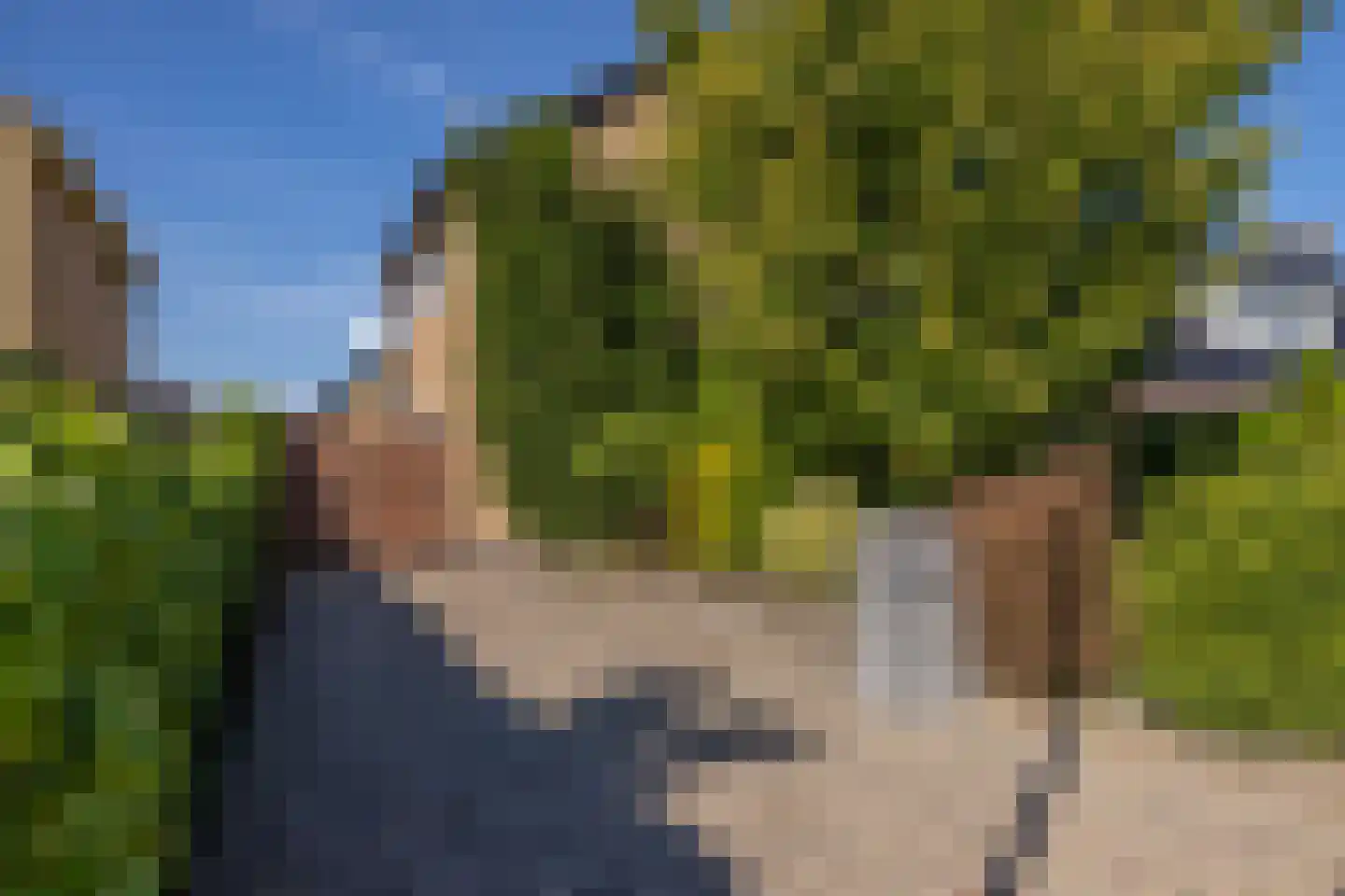 De Singel 5 B Harkema thumbnail 5