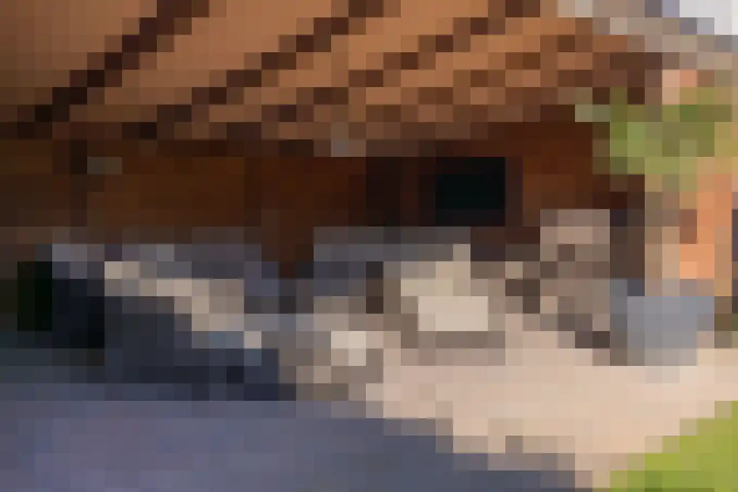 De Singel 5 B Harkema thumbnail 53