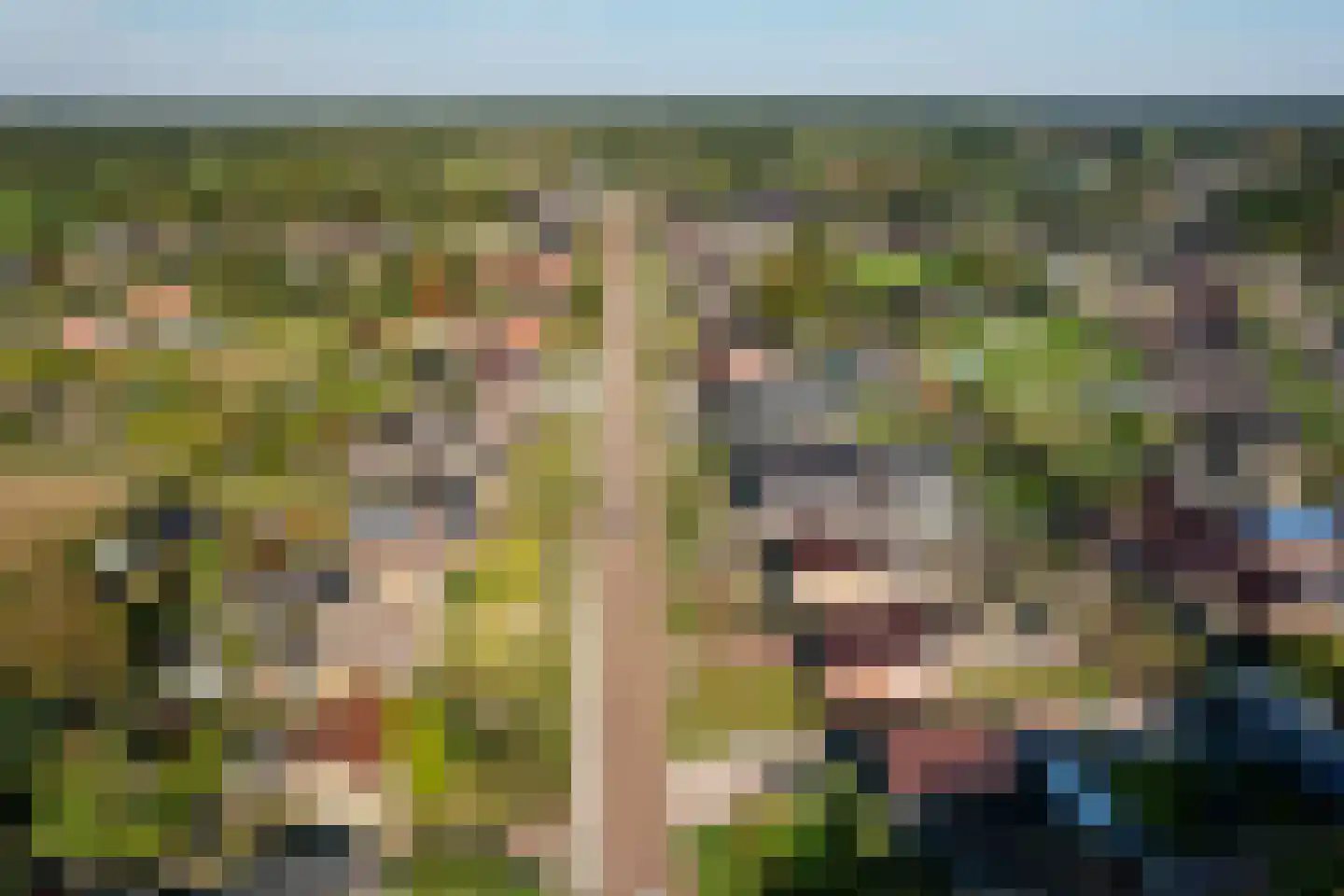 De Singel 5 B Harkema thumbnail 59