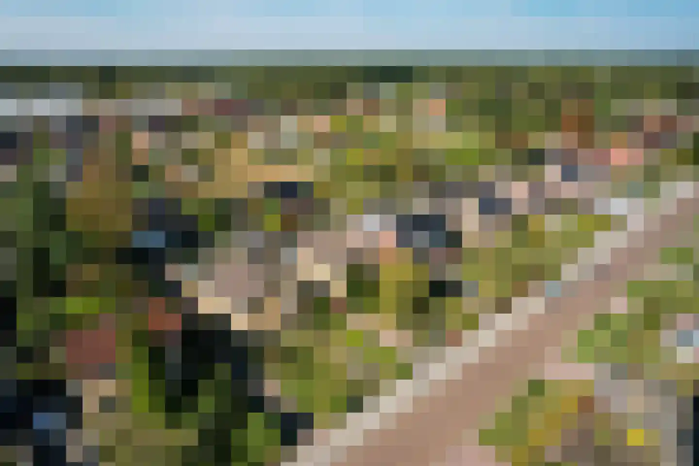 De Singel 5 B Harkema thumbnail 60