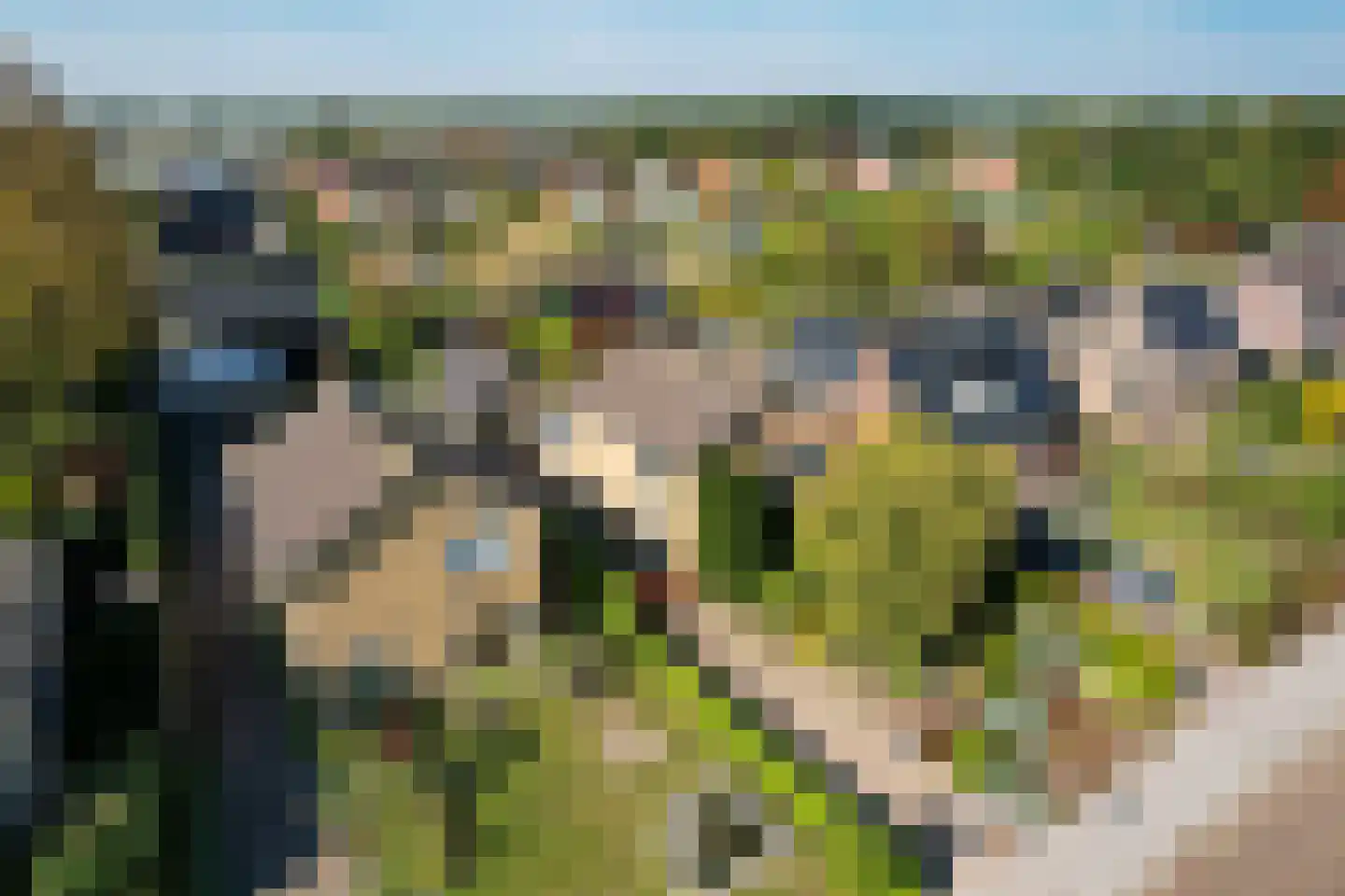 De Singel 5 B Harkema thumbnail 61