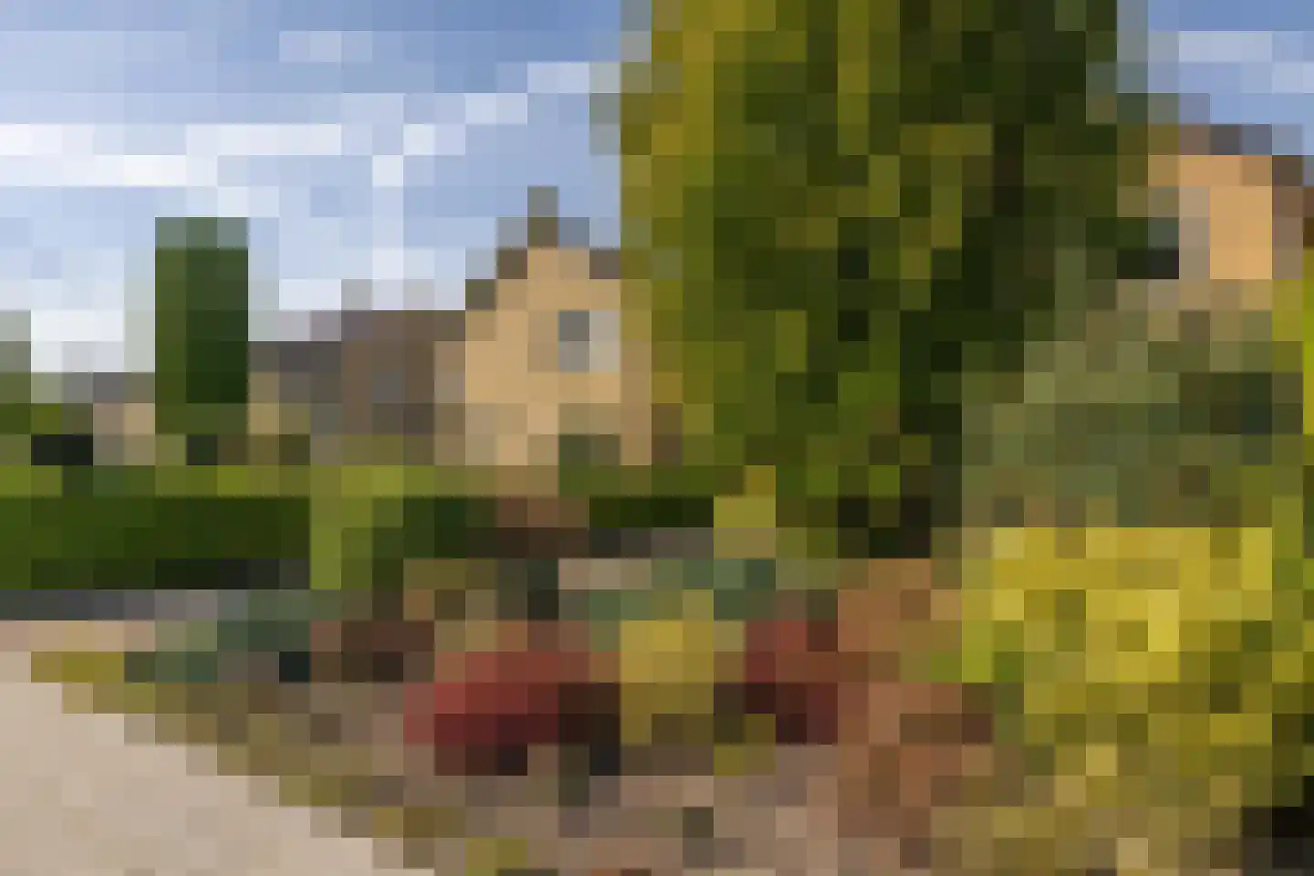 De Singel 5 B Harkema thumbnail 9
