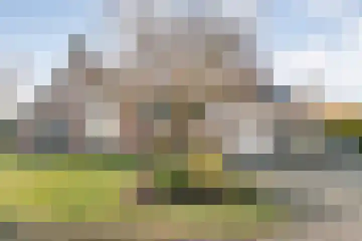 De Singel 5 Dalfsen