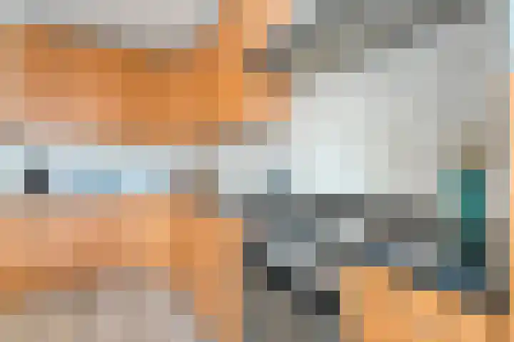 De Singel 5 Dalfsen thumbnail 17