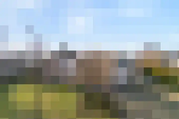 De Singel 5 Dalfsen foto 2