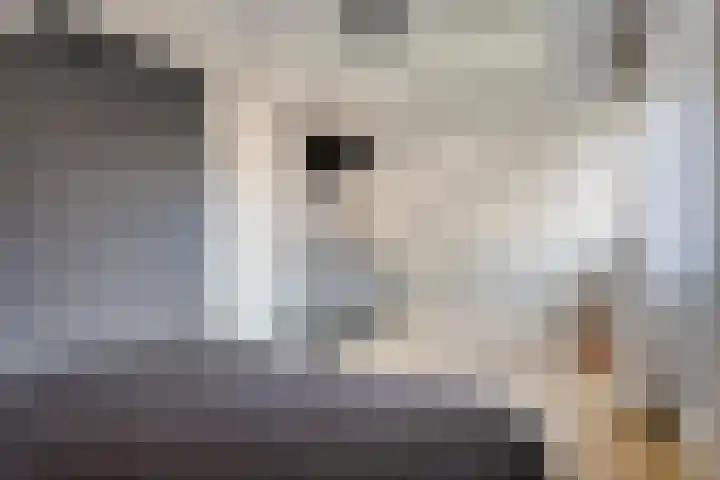 De Singel 5 Dalfsen thumbnail 25