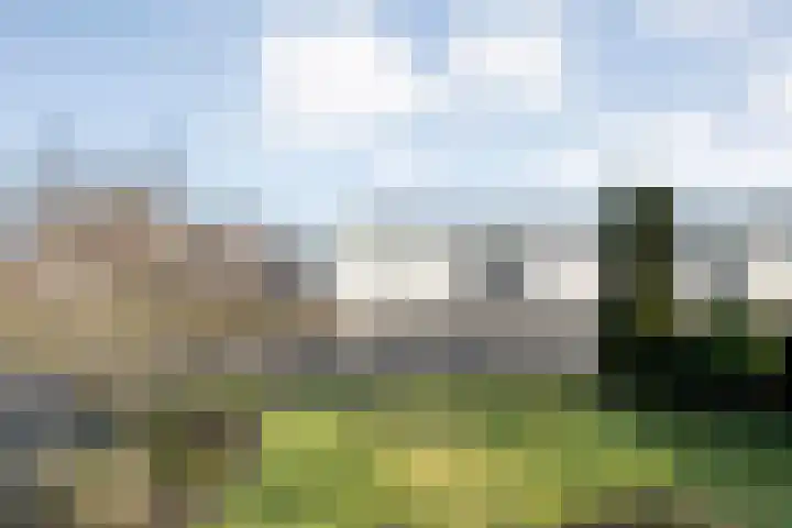 De Singel 5 Dalfsen thumbnail 27