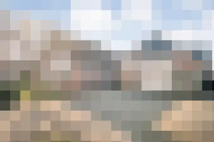De Singel 5 Dalfsen thumbnail 34