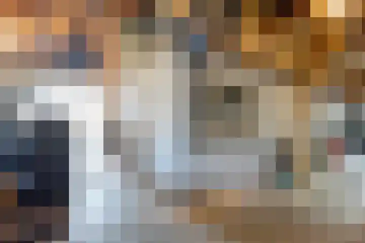 De Singel 5 Dalfsen thumbnail 37