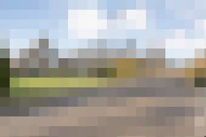 De Singel 5 Dalfsen thumbnail 4