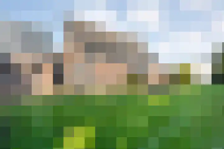 De Singel 5 Dalfsen thumbnail 42