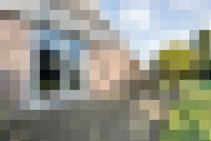 De Singel 5 Dalfsen thumbnail 43