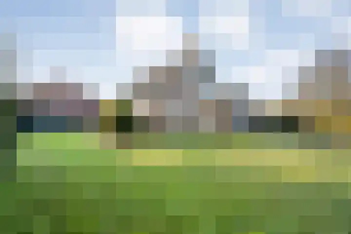 De Singel 5 Dalfsen thumbnail 44