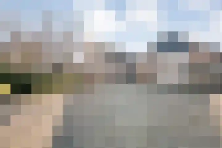 De Singel 5 Dalfsen thumbnail 5