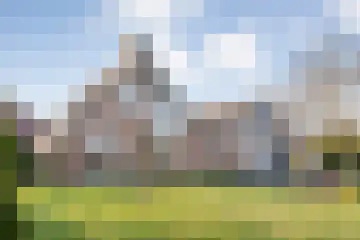 De Singel 5 Dalfsen thumbnail 6