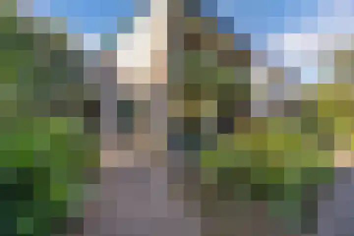 de Singel 6 Ens thumbnail 10