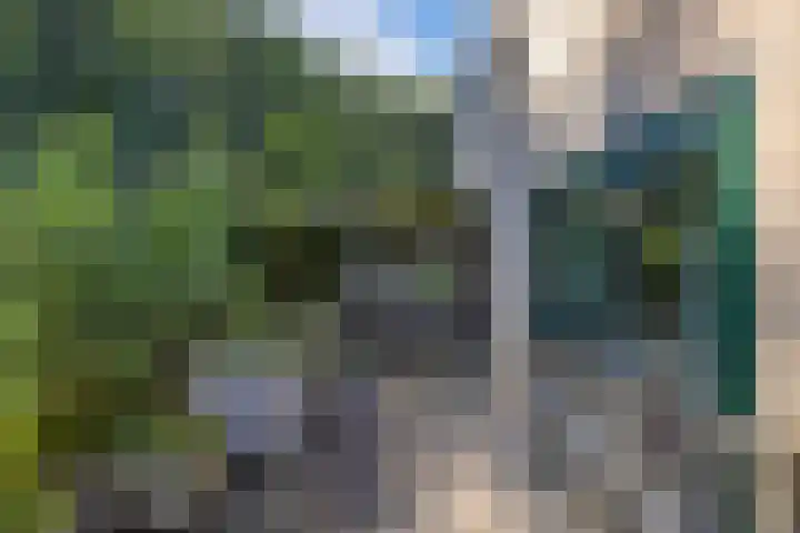 de Singel 6 Ens thumbnail 11