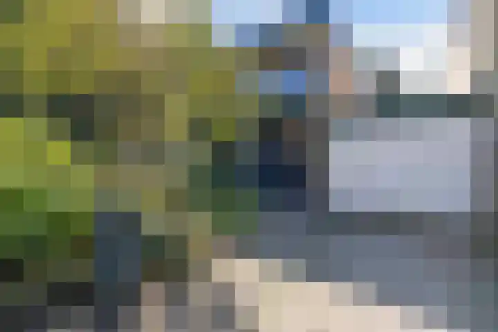 de Singel 6 Ens thumbnail 12