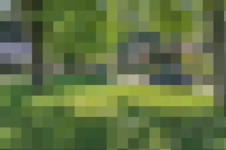 de Singel 6 Ens thumbnail 13