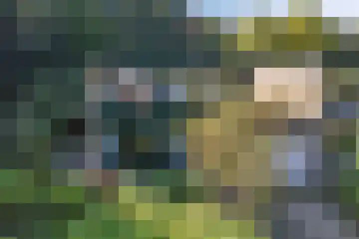 de Singel 6 Ens thumbnail 14
