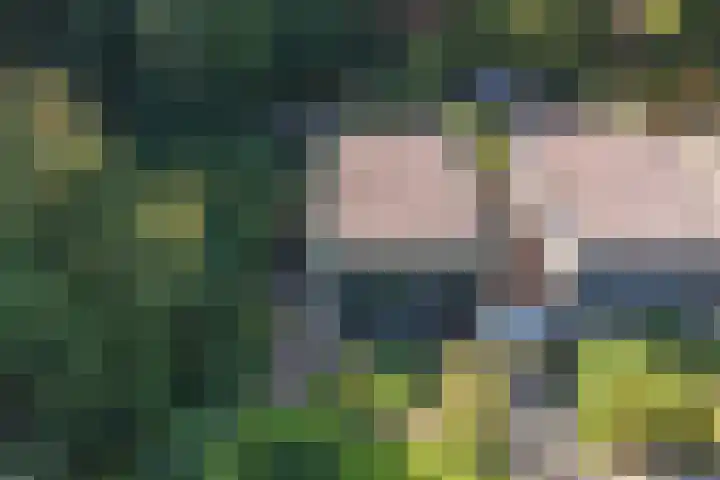 de Singel 6 Ens thumbnail 15
