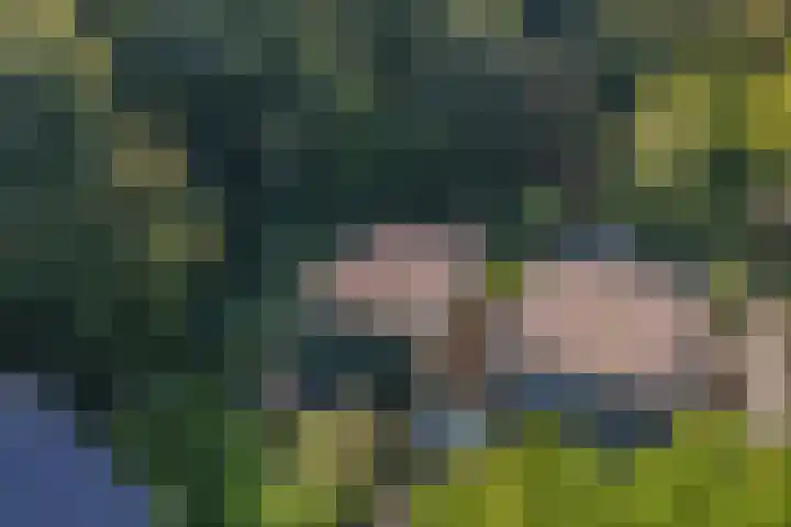 de Singel 6 Ens thumbnail 16